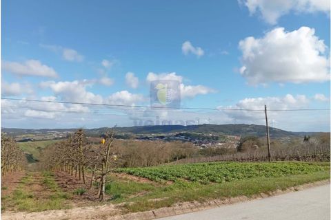 Villa i A dos Francos, Leiria, A dos Francos - € 75.000 | Ref: CAL-215823 - foto 3