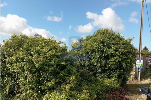 Villa i A dos Francos, Leiria, A dos Francos - € 75.000 | Ref: CAL-215823 - foto 7