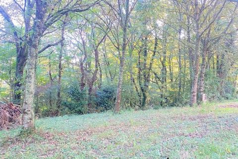 Helårsgrund i Sainte-Colombe, Landes, Sainte-Colombe - € 87.000 | Ref: DOM24379 - foto 3