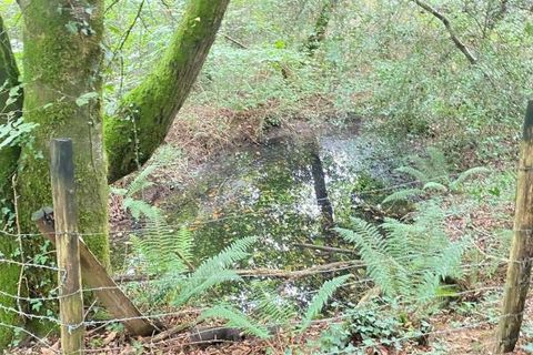 Helårsgrund i Sainte-Colombe, Landes, Sainte-Colombe - € 87.000 | Ref: DOM24379 - foto 7