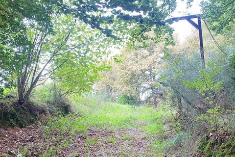 Helårsgrund i Sainte-Colombe, Landes, Sainte-Colombe - € 87.000 | Ref: DOM24379 - foto 8