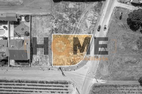Helårsgrund i Alpiarca, Santarem, Alpiarca - € 68.000 | Ref: 100.001.509 - foto 2