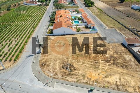 Helårsgrund i Alpiarca, Santarem, Alpiarca - € 68.000 | Ref: 100.001.509 - foto 5