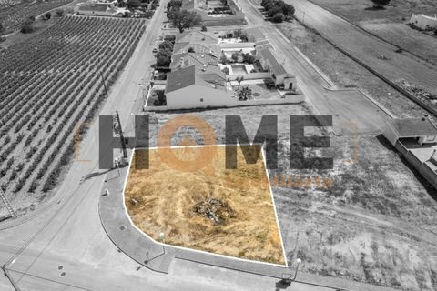 Helårsgrund i Alpiarca, Santarem, Alpiarca - € 68.000 | Ref: 100.001.509 - foto 6