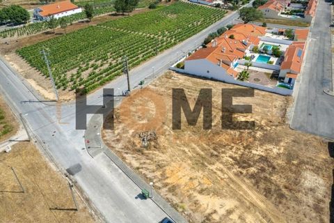 Helårsgrund i Alpiarca, Santarem, Alpiarca - € 68.000 | Ref: 100.001.509 - foto 7