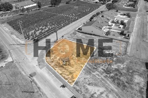 Helårsgrund i Alpiarca, Santarem, Alpiarca - € 68.000 | Ref: 100.001.509 - foto 8