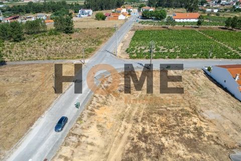 Helårsgrund i Alpiarca, Santarem, Alpiarca - € 68.000 | Ref: 100.001.509 - foto 9