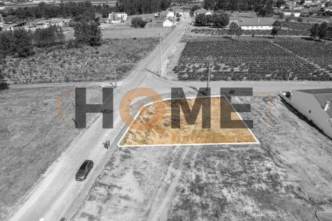 Helårsgrund i Alpiarca, Santarem, Alpiarca - € 68.000 | Ref: 100.001.509 - foto 10