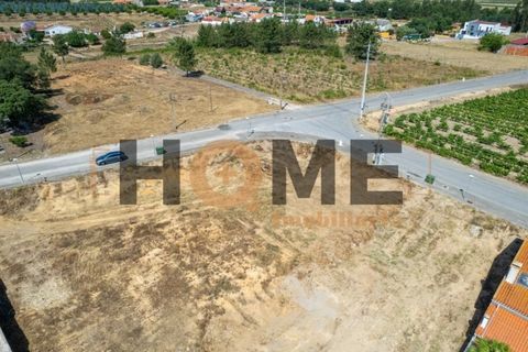 Helårsgrund i Alpiarca, Santarem, Alpiarca - € 68.000 | Ref: 100.001.509 - foto 11