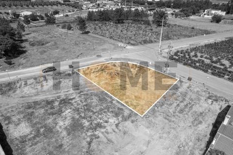 Helårsgrund i Alpiarca, Santarem, Alpiarca - € 68.000 | Ref: 100.001.509 - foto 12