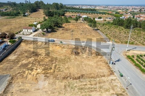 Helårsgrund i Alpiarca, Santarem, Alpiarca - € 68.000 | Ref: 100.001.509 - foto 13