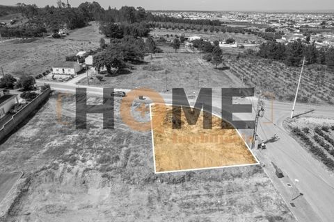 Helårsgrund i Alpiarca, Santarem, Alpiarca - € 68.000 | Ref: 100.001.509 - foto 14