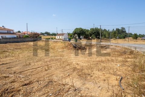 Helårsgrund i Alpiarca, Santarem, Alpiarca - € 68.000 | Ref: 100.001.509 - foto 15