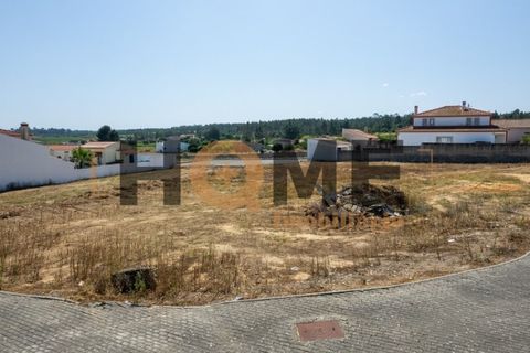 Helårsgrund i Alpiarca, Santarem, Alpiarca - € 68.000 | Ref: 100.001.509 - foto 16