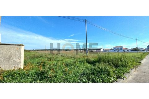 Terra a Alpiarca, Santarem, Alpiarca - € 69.920 | Ref: 100.001.708 - foto 2