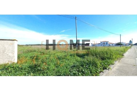 Terra a Alpiarca, Santarem, Alpiarca - € 69.920 | Ref: 100.001.708 - foto 3