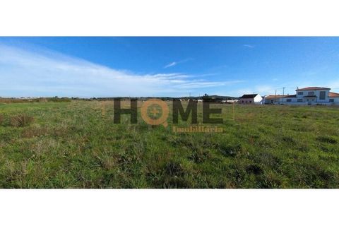 Terra a Alpiarca, Santarem, Alpiarca - € 69.920 | Ref: 100.001.708 - foto 4