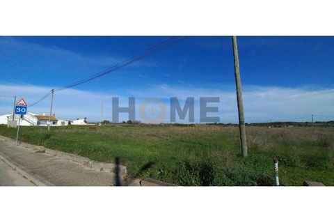 Terra a Alpiarca, Santarem, Alpiarca - € 69.920 | Ref: 100.001.708 - foto 5