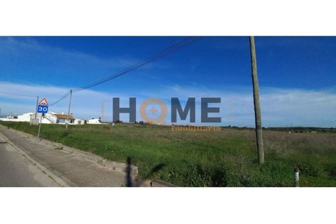 Terra a Alpiarca, Santarem, Alpiarca - € 69.920 | Ref: 100.001.708 - foto 6