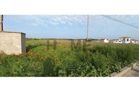 Terra a Alpiarca, Santarem, Alpiarca - € 69.920 | Ref: 100.001.708 - foto 7