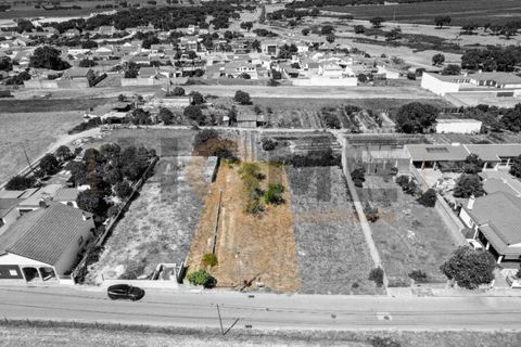 Helårsgrund i Alpiarca, Santarem, Alpiarca - € 56.500 | Ref: 100.001.682 - foto 1