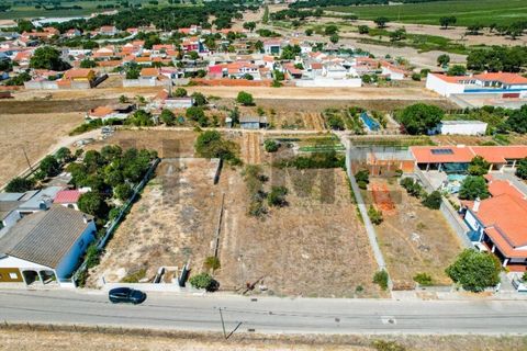 Helårsgrund i Alpiarca, Santarem, Alpiarca - € 56.500 | Ref: 100.001.682 - foto 2