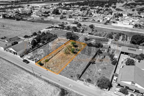 Helårsgrund i Alpiarca, Santarem, Alpiarca - € 56.500 | Ref: 100.001.682 - foto 3