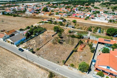 Helårsgrund i Alpiarca, Santarem, Alpiarca - € 56.500 | Ref: 100.001.682 - foto 4