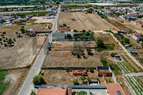 Helårsgrund i Alpiarca, Santarem, Alpiarca - € 56.500 | Ref: 100.001.682 - foto 6