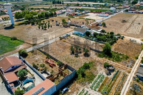 Helårsgrund i Alpiarca, Santarem, Alpiarca - € 56.500 | Ref: 100.001.682 - foto 8