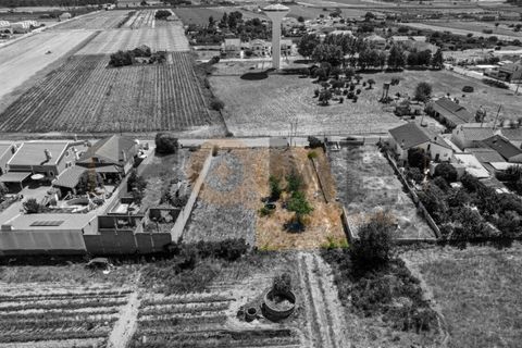 Helårsgrund i Alpiarca, Santarem, Alpiarca - € 56.500 | Ref: 100.001.682 - foto 9