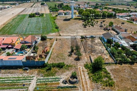 Helårsgrund i Alpiarca, Santarem, Alpiarca - € 56.500 | Ref: 100.001.682 - foto 10