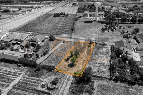 Helårsgrund i Alpiarca, Santarem, Alpiarca - € 56.500 | Ref: 100.001.682 - foto 11