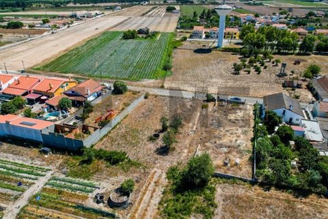 Helårsgrund i Alpiarca, Santarem, Alpiarca - € 56.500 | Ref: 100.001.682 - foto 12