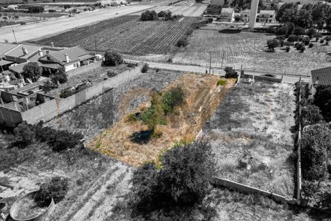 Helårsgrund i Alpiarca, Santarem, Alpiarca - € 56.500 | Ref: 100.001.682 - foto 13