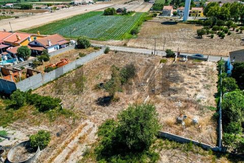 Helårsgrund i Alpiarca, Santarem, Alpiarca - € 56.500 | Ref: 100.001.682 - foto 14