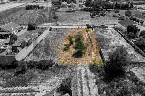 Helårsgrund i Alpiarca, Santarem, Alpiarca - € 56.500 | Ref: 100.001.682 - foto 15