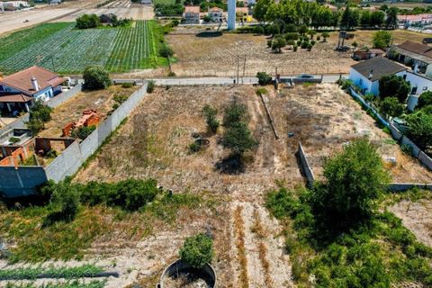 Helårsgrund i Alpiarca, Santarem, Alpiarca - € 56.500 | Ref: 100.001.682 - foto 16