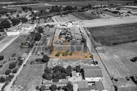 Helårsgrund i Alpiarca, Santarem, Alpiarca - € 56.500 | Ref: 100.001.682 - foto 17