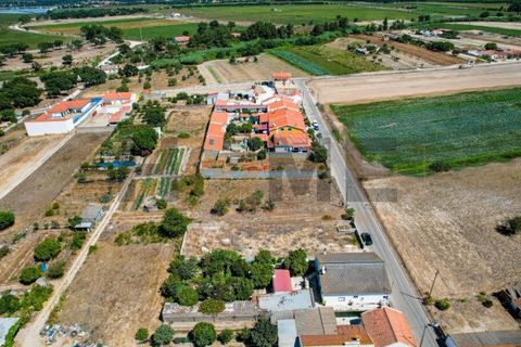 Helårsgrund i Alpiarca, Santarem, Alpiarca - € 56.500 | Ref: 100.001.682 - foto 18