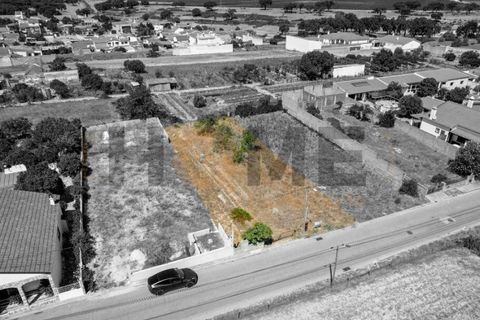 Helårsgrund i Alpiarca, Santarem, Alpiarca - € 56.500 | Ref: 100.001.682 - foto 19