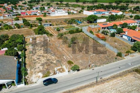 Helårsgrund i Alpiarca, Santarem, Alpiarca - € 56.500 | Ref: 100.001.682 - foto 20