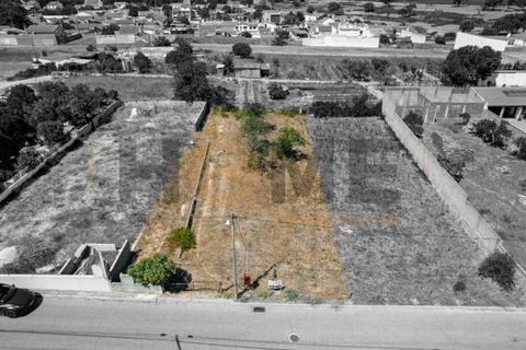 Helårsgrund i Alpiarca, Santarem, Alpiarca - € 56.500 | Ref: 100.001.682 - foto 21