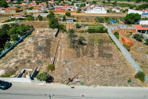 Helårsgrund i Alpiarca, Santarem, Alpiarca - € 56.500 | Ref: 100.001.682 - foto 22