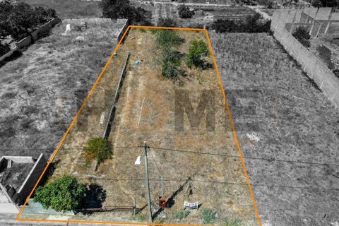 Helårsgrund i Alpiarca, Santarem, Alpiarca - € 56.500 | Ref: 100.001.682 - foto 23