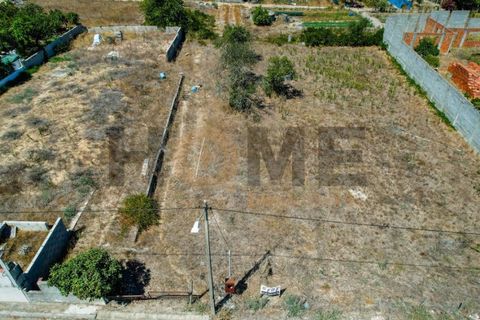 Helårsgrund i Alpiarca, Santarem, Alpiarca - € 56.500 | Ref: 100.001.682 - foto 24