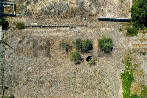 Helårsgrund i Alpiarca, Santarem, Alpiarca - € 56.500 | Ref: 100.001.682 - foto 26