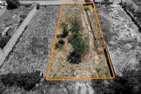 Helårsgrund i Alpiarca, Santarem, Alpiarca - € 56.500 | Ref: 100.001.682 - foto 27