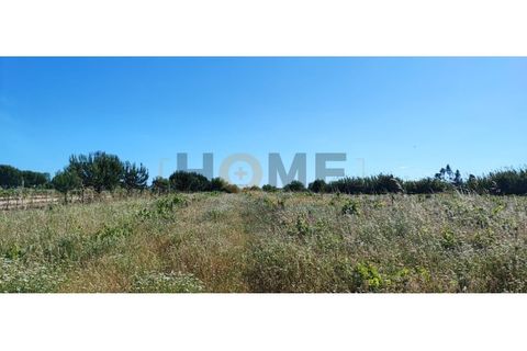 Tomt i Benfica do Ribatejo, Santarem, Benfica do Ribatejo - € 25 000 | Ref: 100.001.655 - foto 2