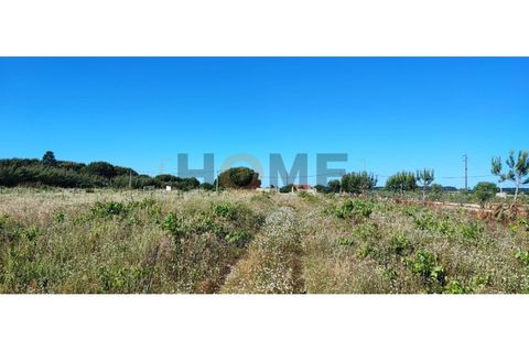 Tomt i Benfica do Ribatejo, Santarem, Benfica do Ribatejo - € 25 000 | Ref: 100.001.655 - foto 3